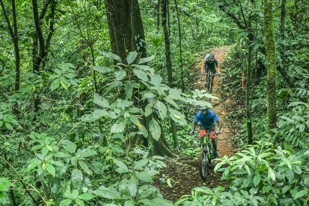 El Zur trails