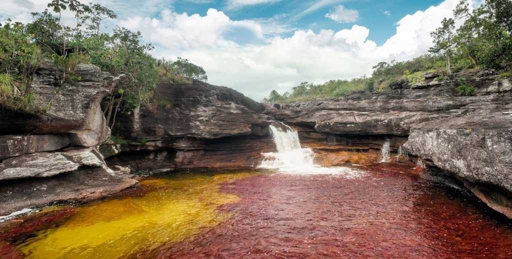 The vivid colors of Caño Cristales