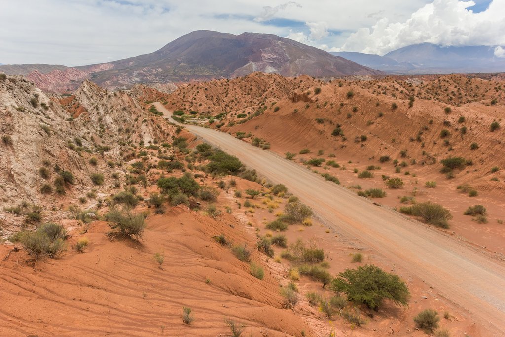 Los Cardones National Park