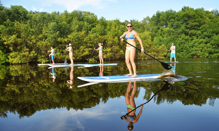 Paddling the mangrove wetlands in Nosara