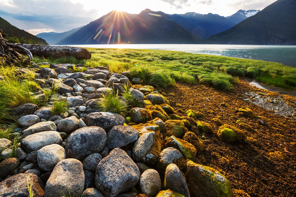 Shoreline near Bella Coola