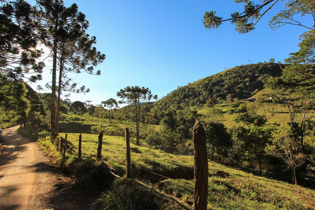 Dirt road in the Serra da Mantiqueira Mountains