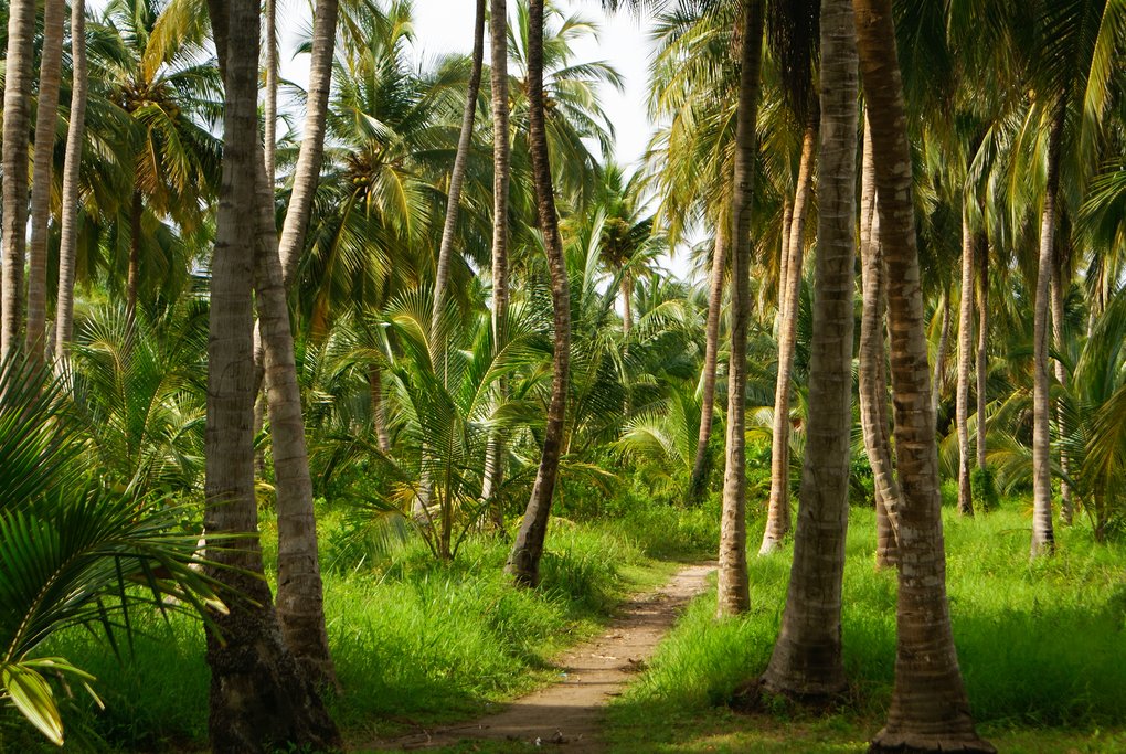 Isla Múcura, Colombia