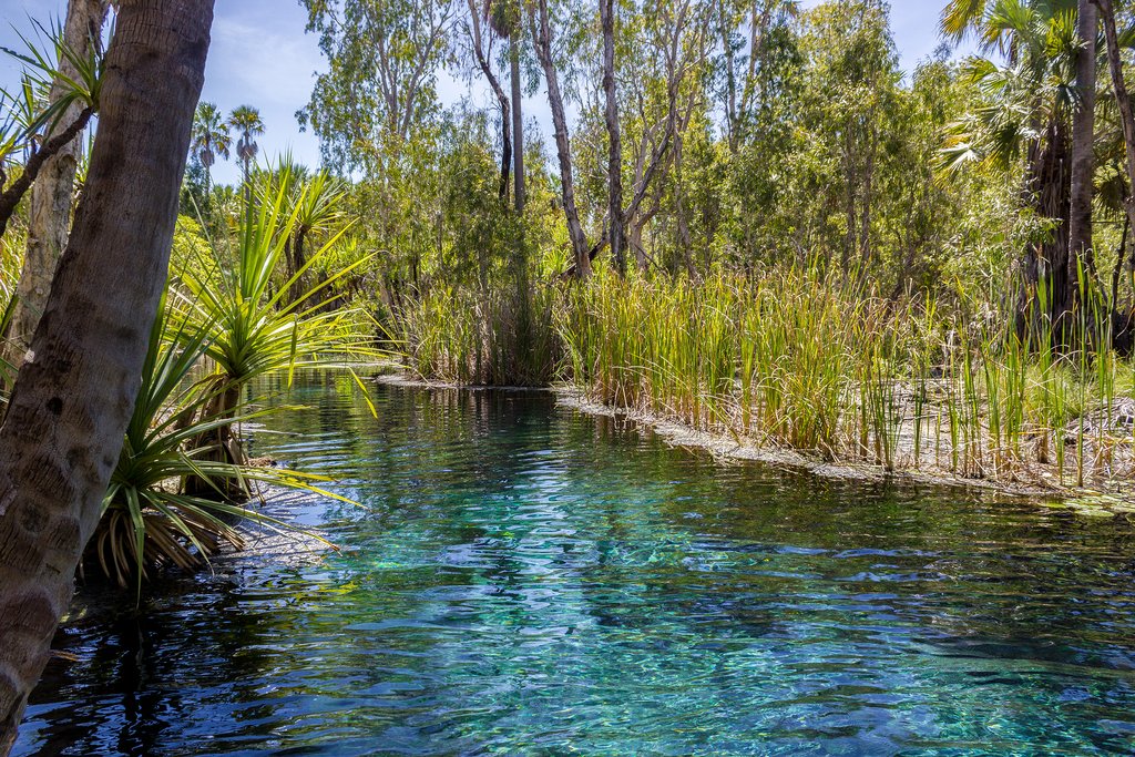 Australia - Mataranka Hot Springs