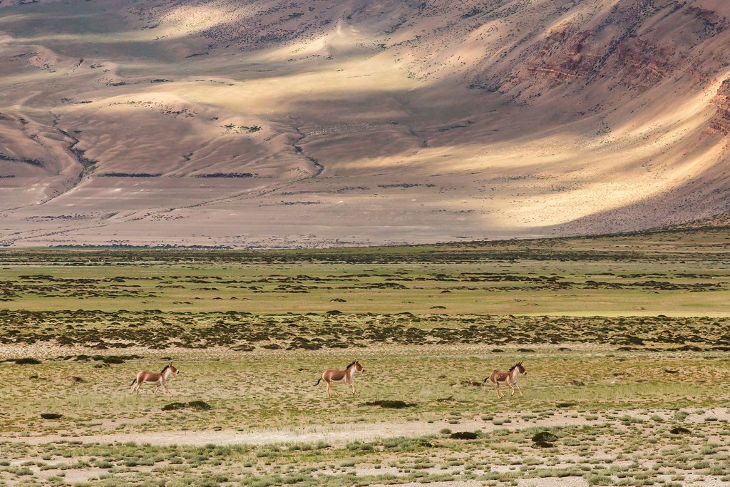 Landscapes in the Changthang area