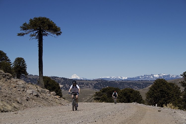 Biking in Chile's Lake and Volcano District