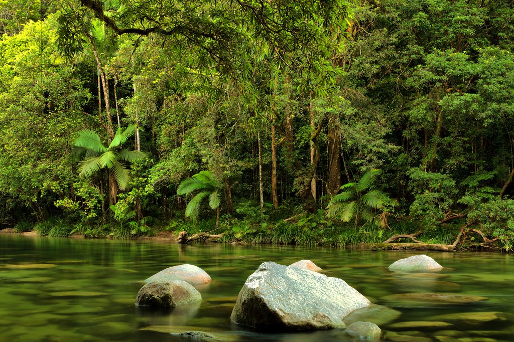 Mossman Gorge