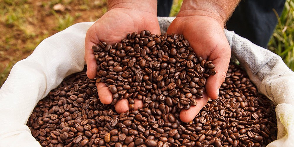 Costa Rican coffee is some of the best in the world