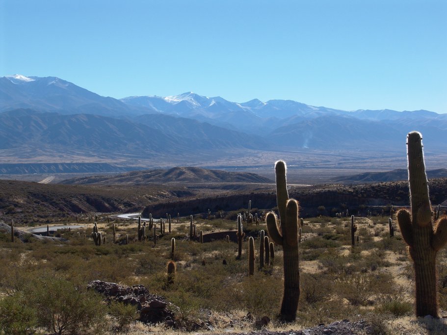 Salta to Cachi