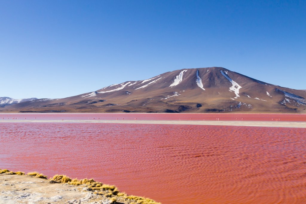 The Red Lagoon