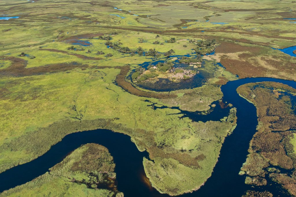 Aerial view of the Okavango Delta