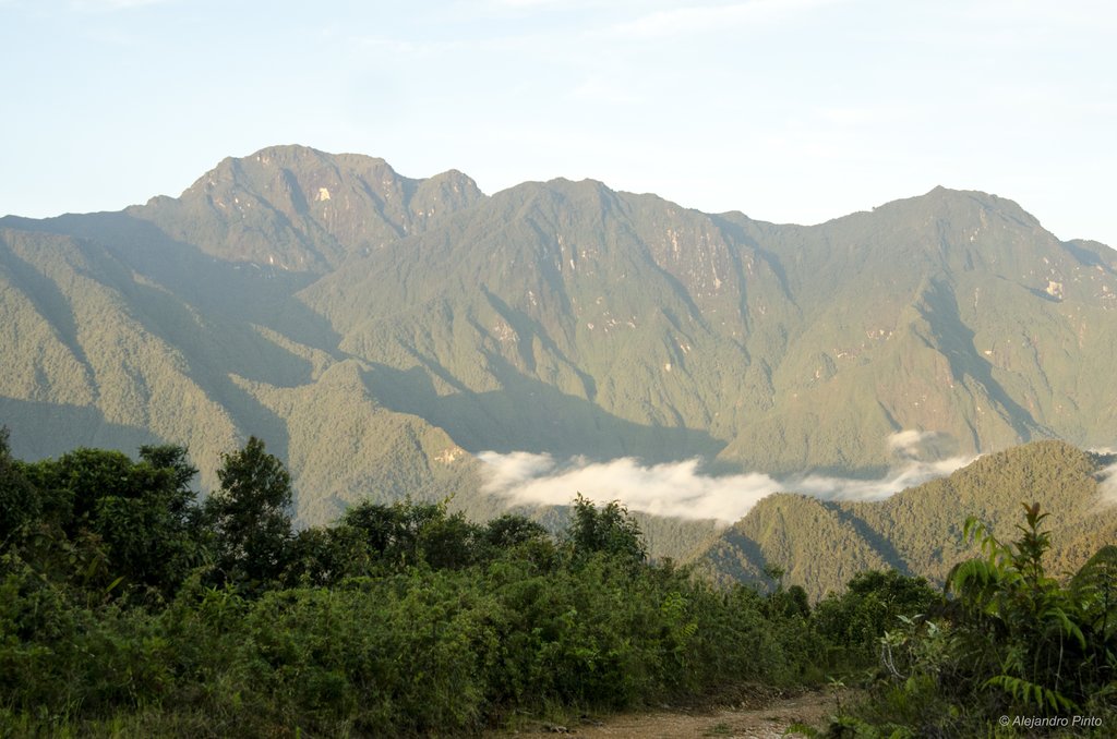 From our birding area, we will have excellent views of PNN Tatamá.