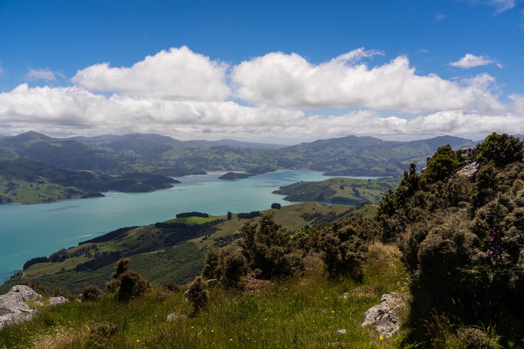 Akaroa ocean bay