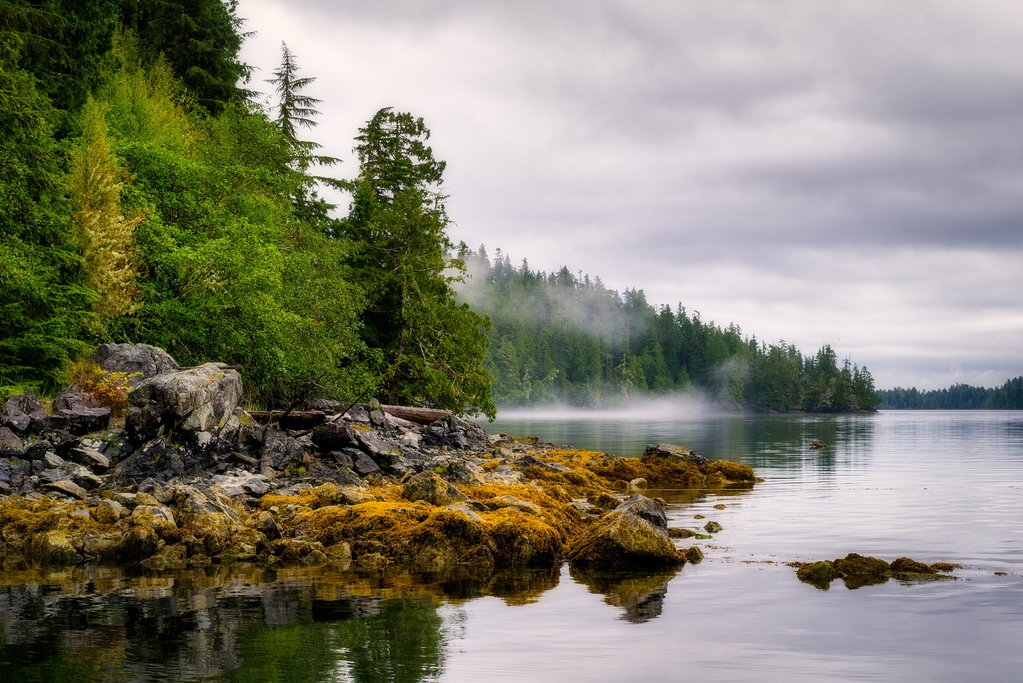 Close up of one of the 100 Broken Group Islands in Barkley Sound