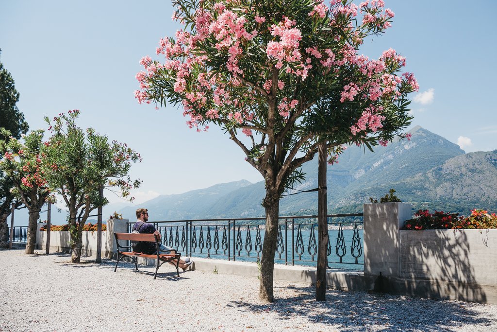 Springtime in Bellagio, 