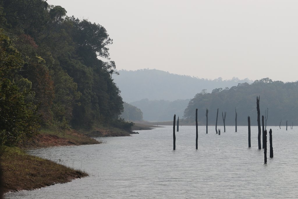 Thekkady