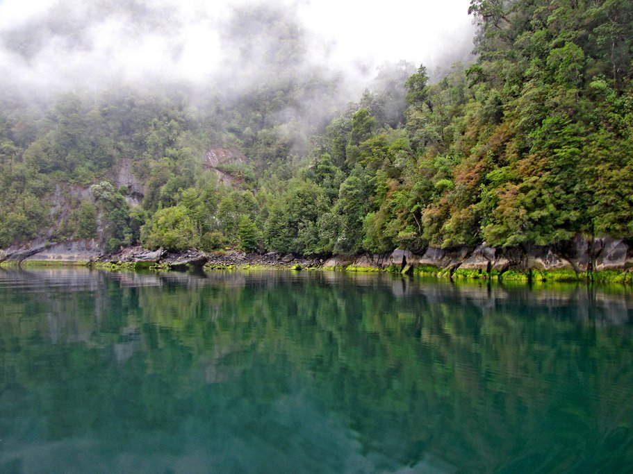 A variety of greens in the fjord - Photo by hyper_claudio