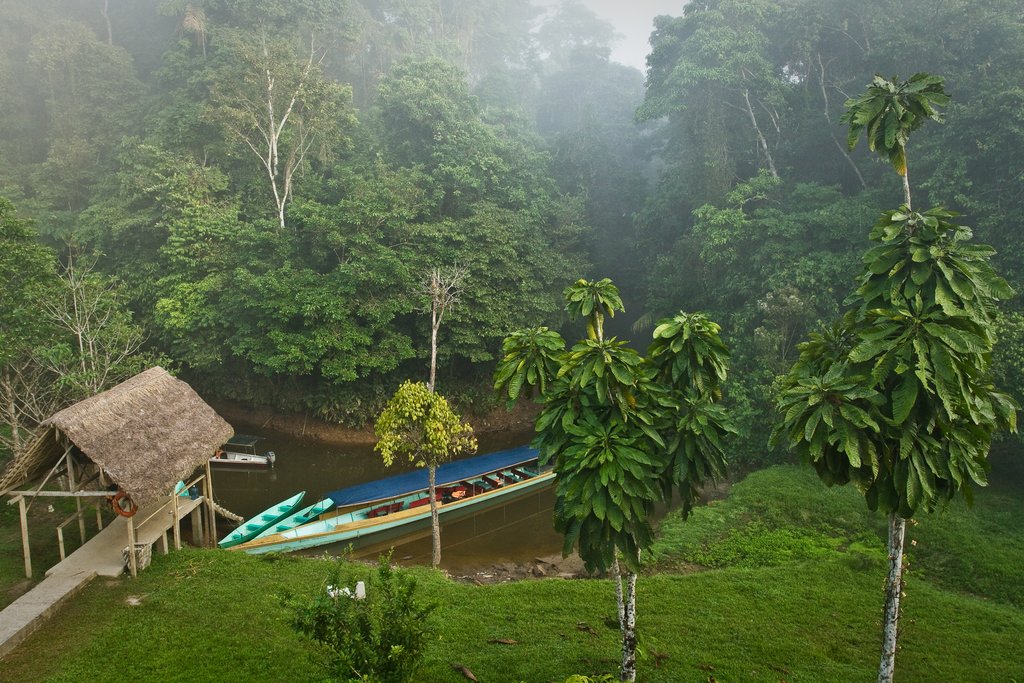 The Yasuní National Park