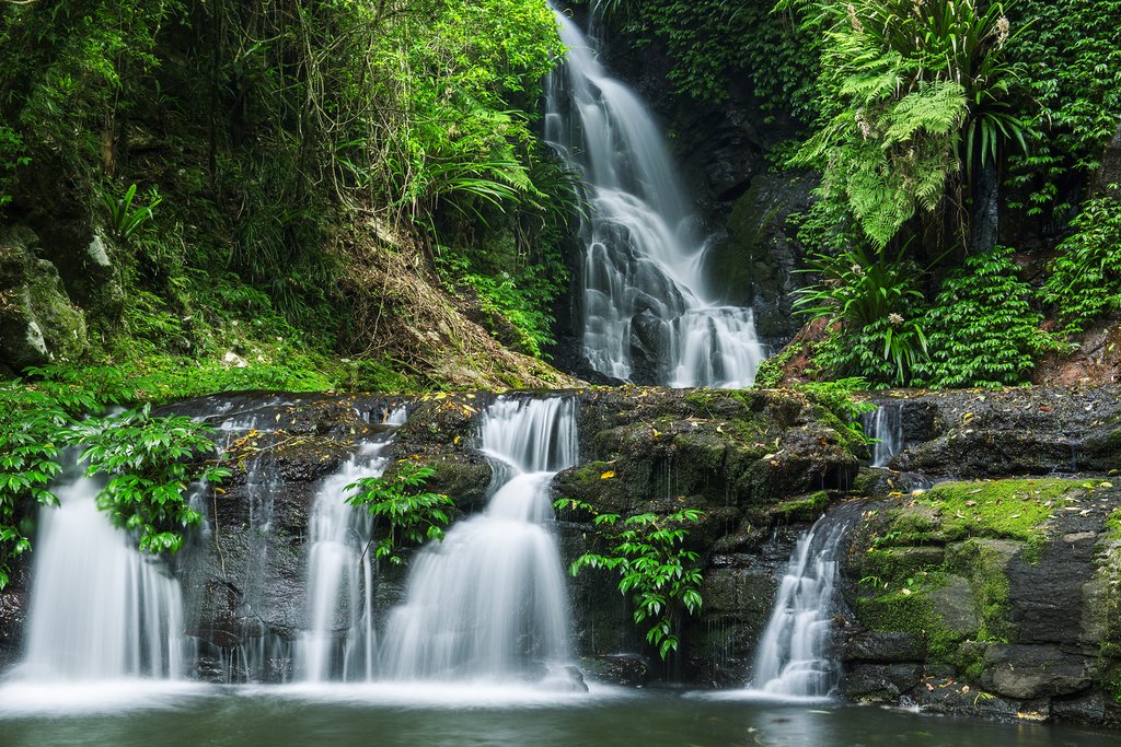 Australia - Lamington National Park - Waterfalls on Toolona Circuit