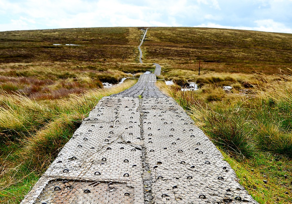 Find your trail