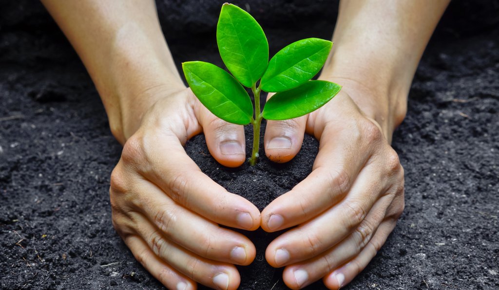 Plant a tree