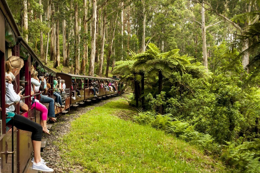 The Puffing Billy in Yarra Valley