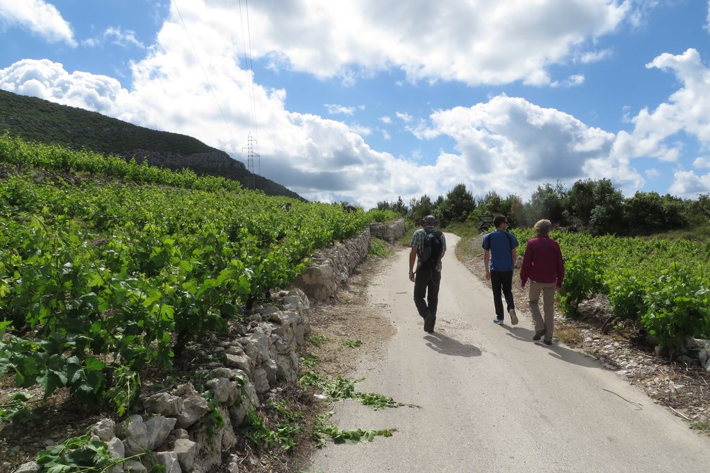 Hike in the Konavle countryside, beyond Dubrovnik
