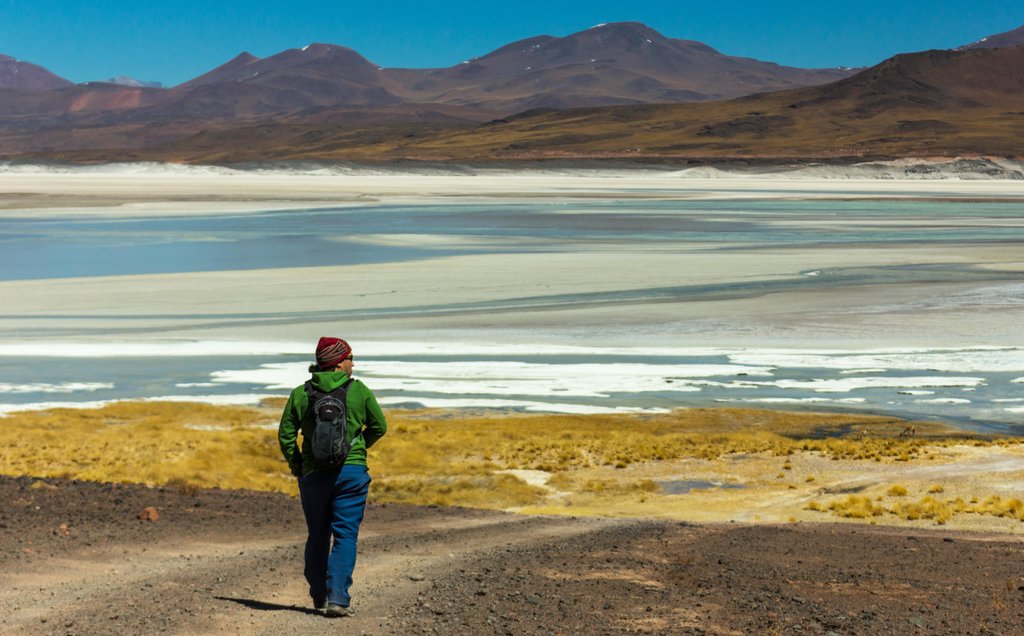 Atacama Salt Flat, a habitat for flamingoes