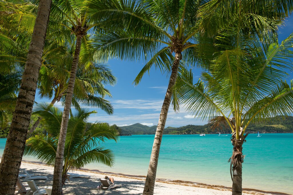 Hamilton Island - Beach