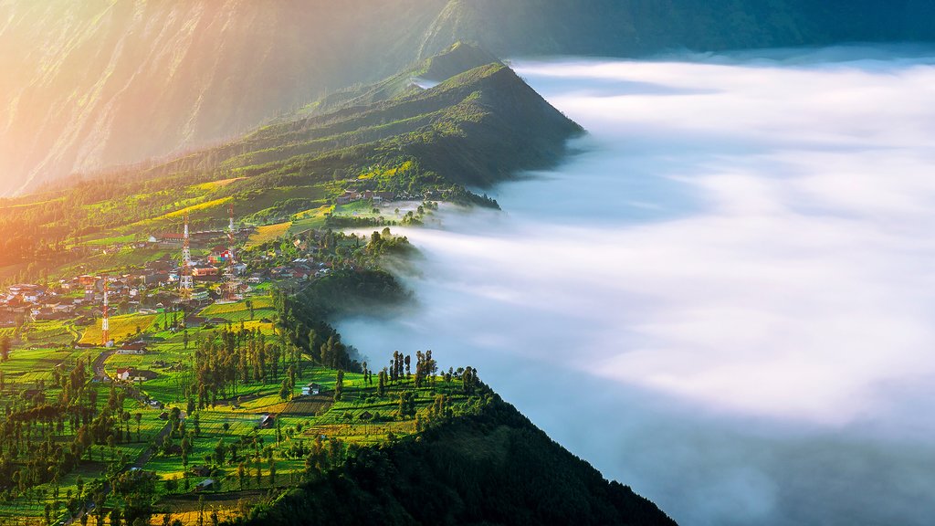 Indonesia - Java - Cemoro-Lawang-Village-At-Mount Bromo