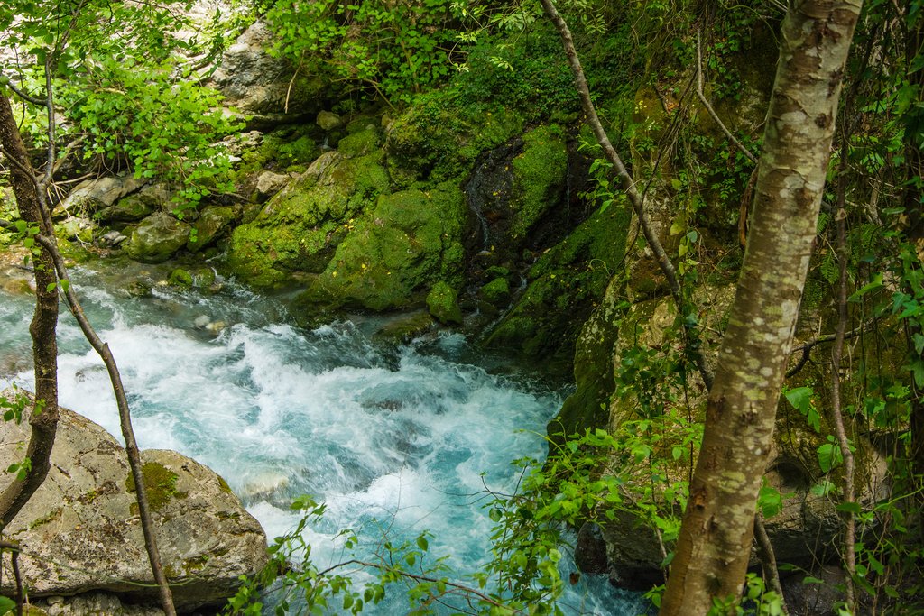 Lousios River
