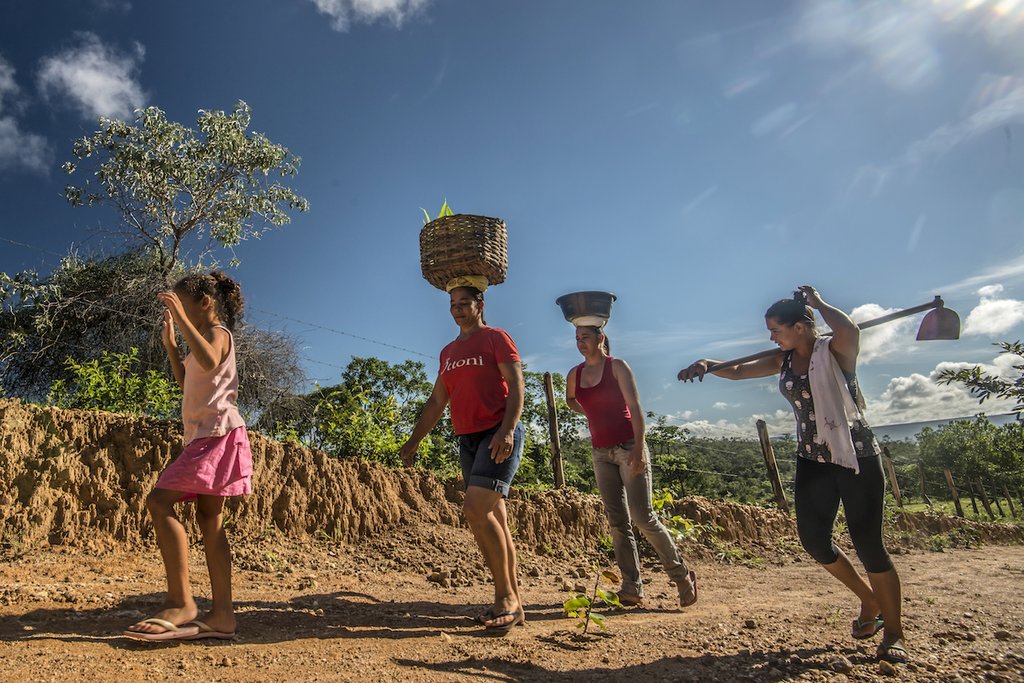 The hardworking women from Jequitinhonha Valley