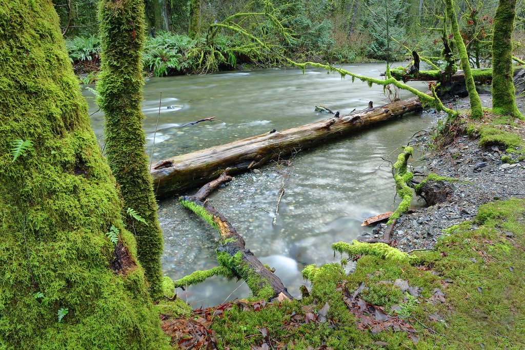 Goldstream Provincial Park near Victoria