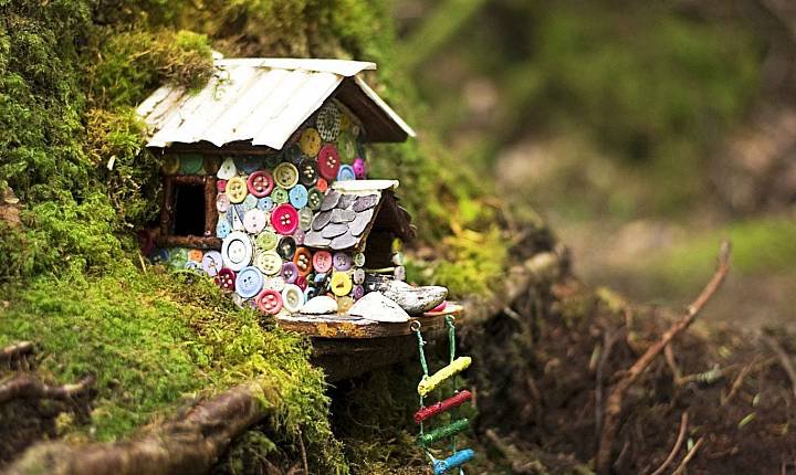 Fairy House