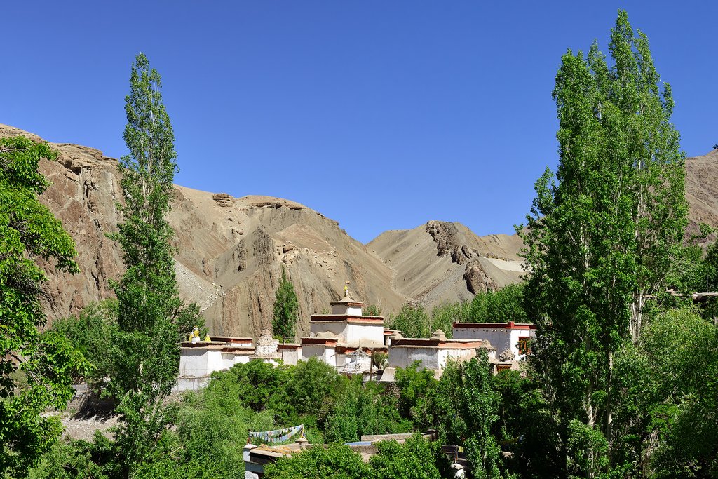 Scenery surrounding Alchi village