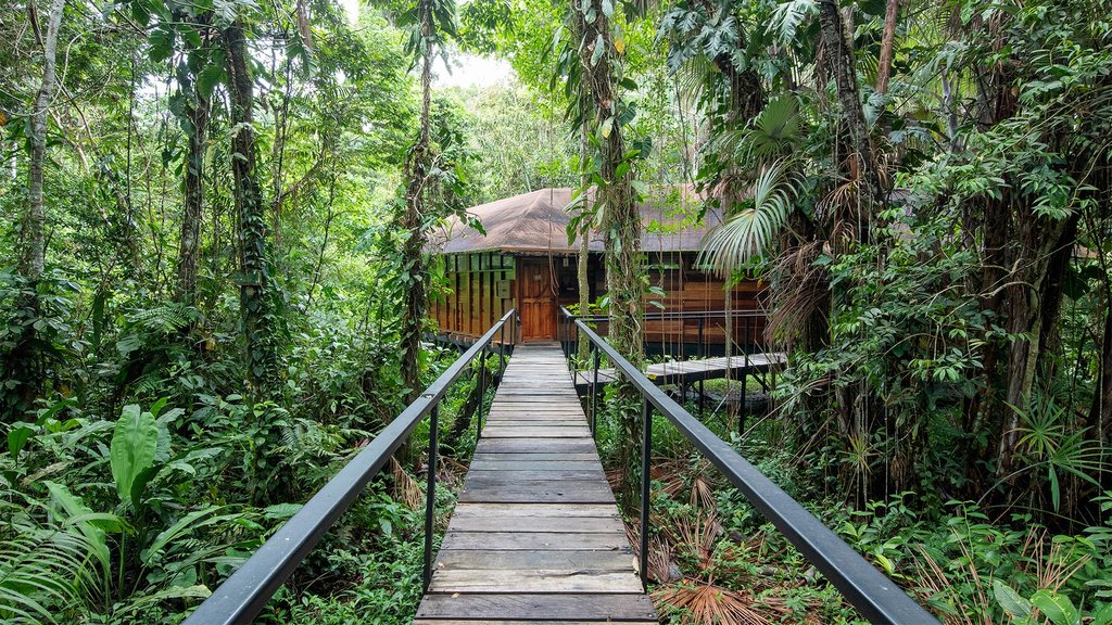 Cabin at Sacha Lodge