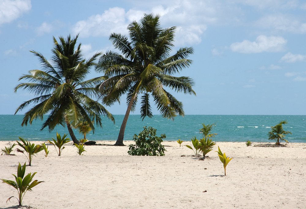 View of Half Moon Caye