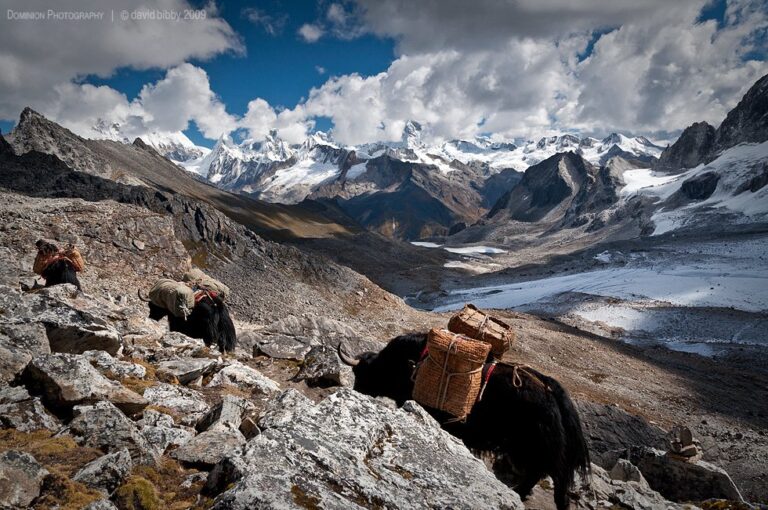 Dagala Thousand Lakes Trek - 12 Days