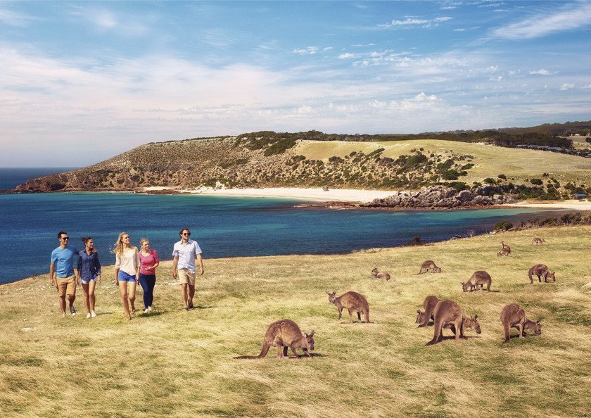 Enjoy the flora & fauna on the beautiful Kangaroo Island