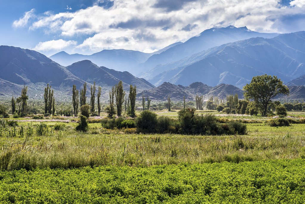 Calchaquí Valley