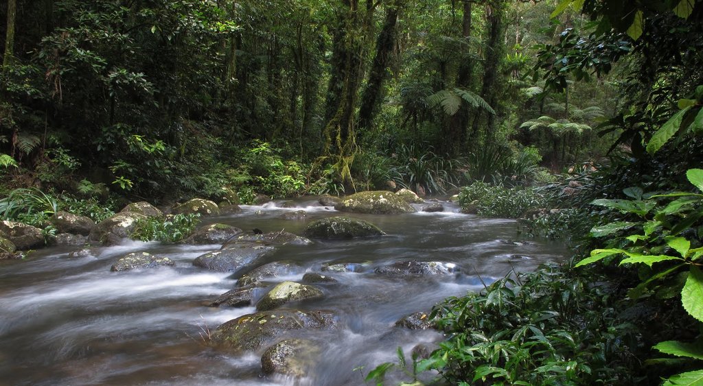 Jungle Trek & River Tubing