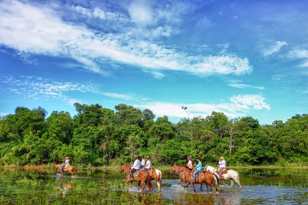 Activities in the Pantanal