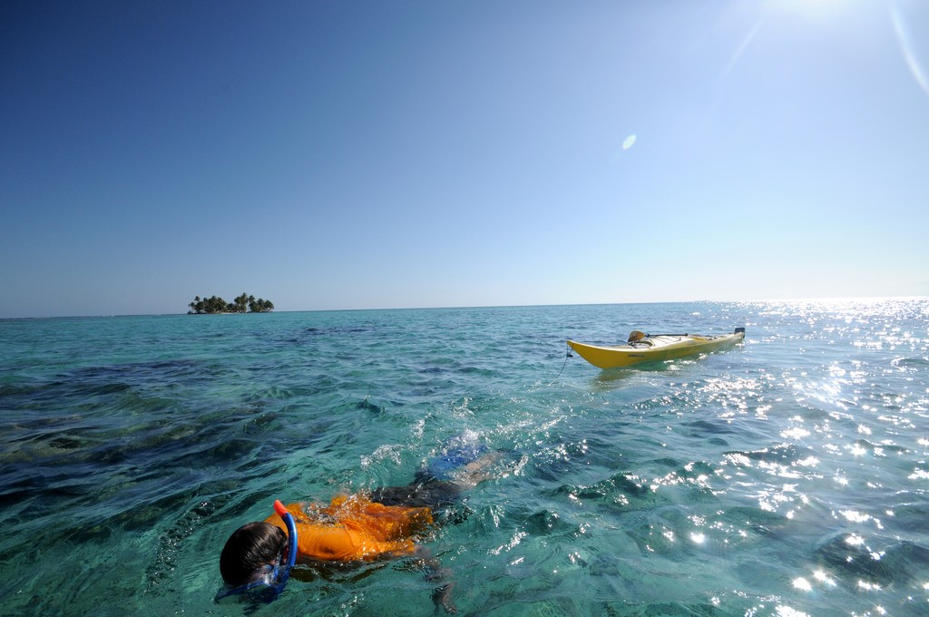 Snorkeling off Carrie Bow Caye