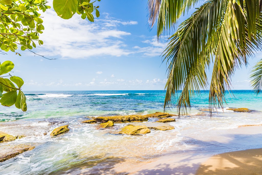 Punta Uva, in Puerto Viejo