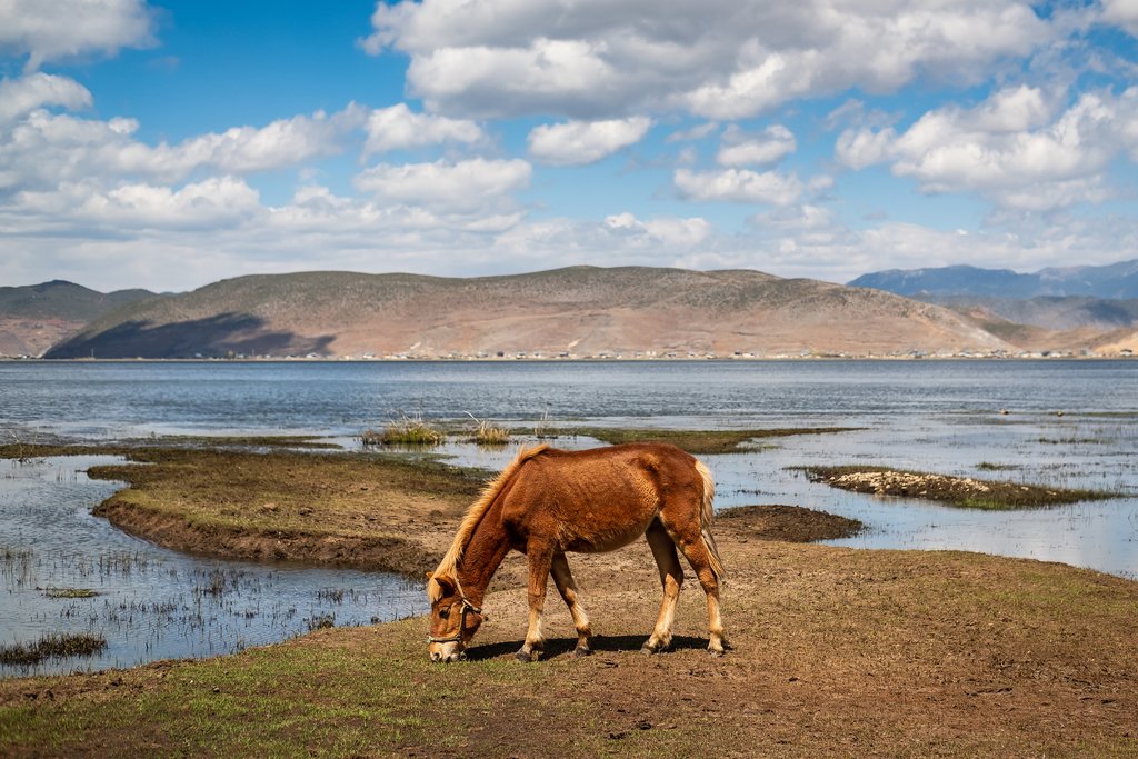 Napa Lake and grasslands near Shangri-la