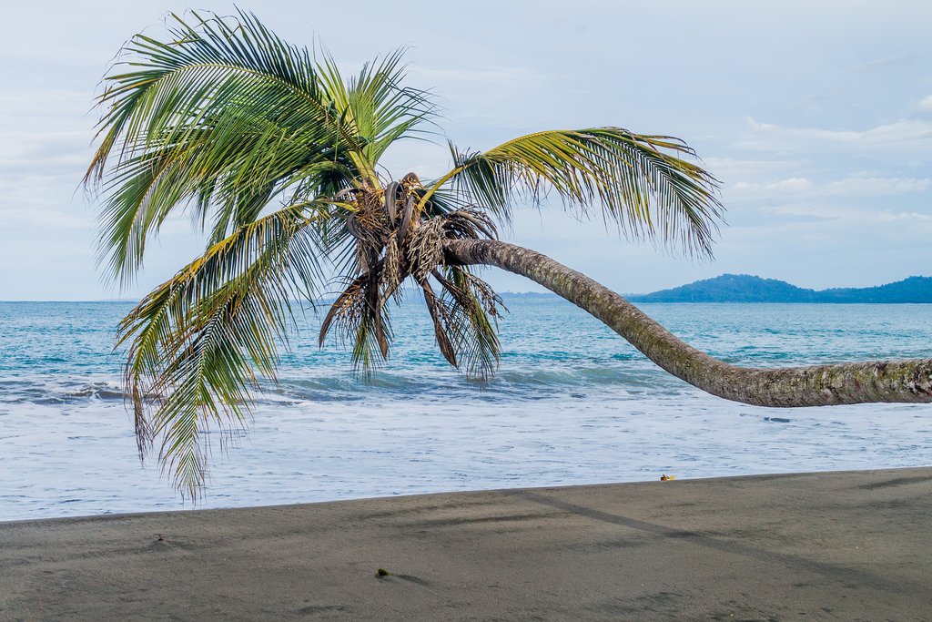 Visit Cahuita National Park