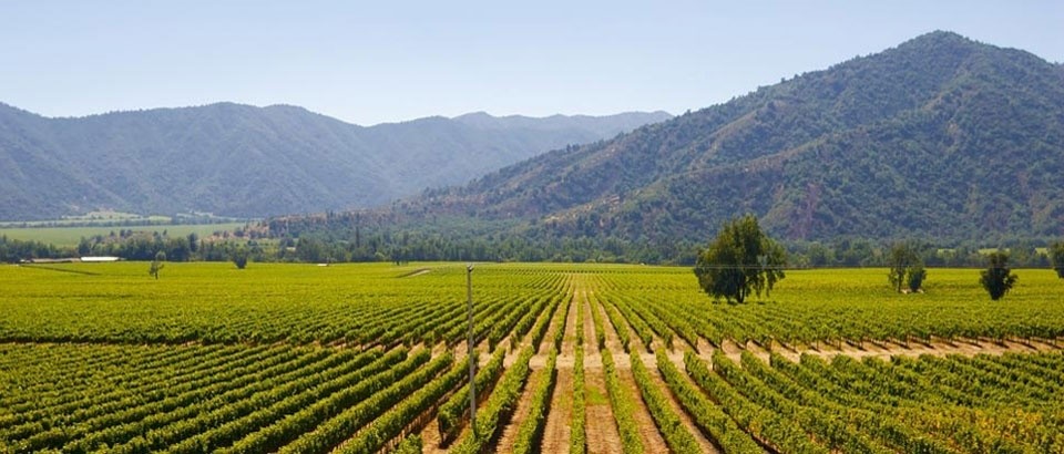 Colchagua, Chile