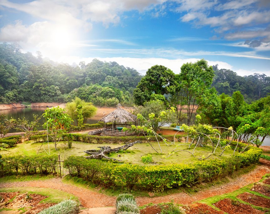 Garden landscapes in Periyar National Park