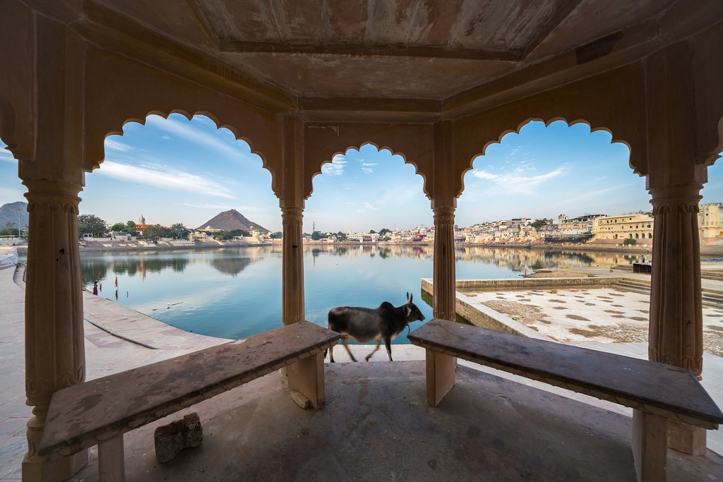 Pushkar Lake is a sacred pilgrimage site