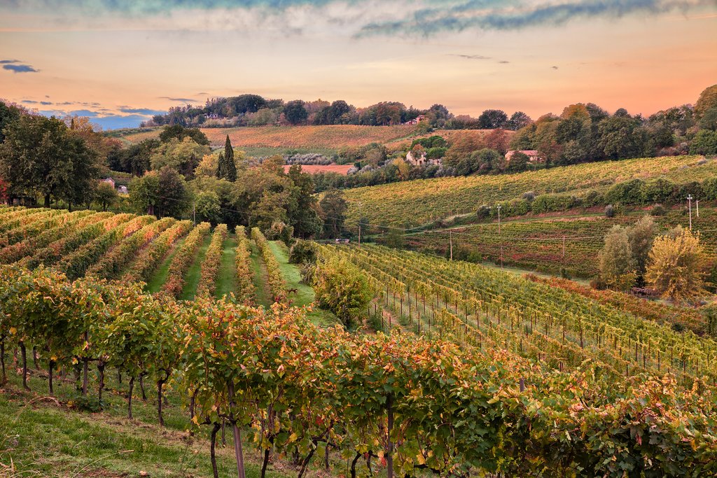 Countryside of Emilia Romagno